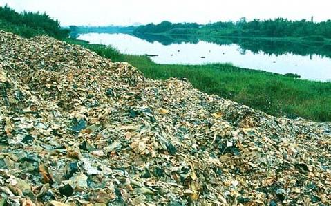 固體(tǐ)廢棄物(wù)的(de)國(guó)際化(huà)先進處理(lǐ)技(jì)術(shù)