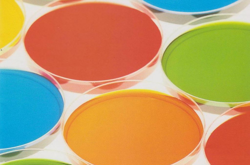 有(yǒu)機(jī)顔料